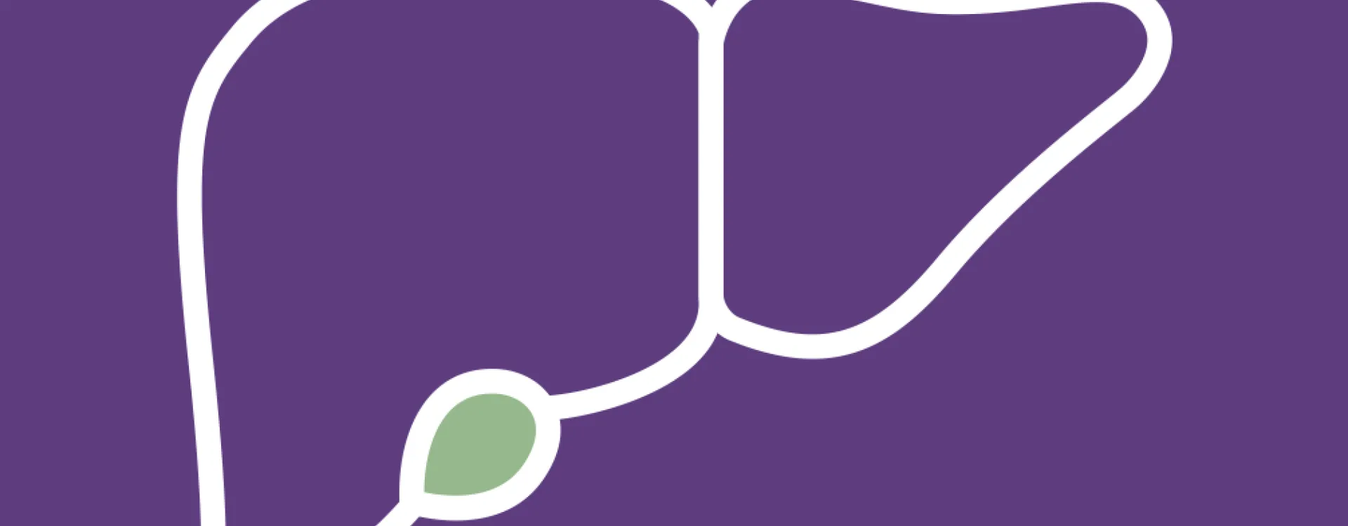 Světový den zdraví jater 